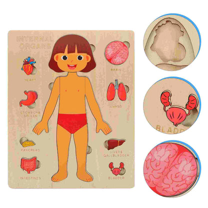 Human Body Puzzle
